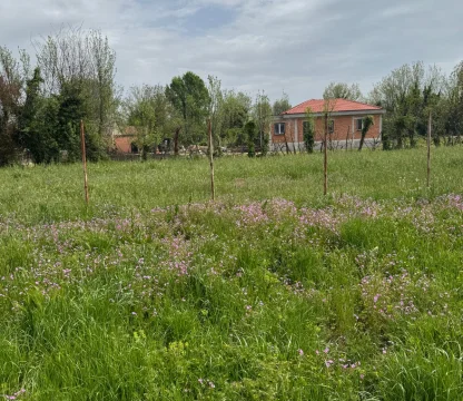 Земельный Участок 3 500 м² с Разрешением на Застройку в Подгорице – Отличная Возможность для Девелопмента и Инвестиций