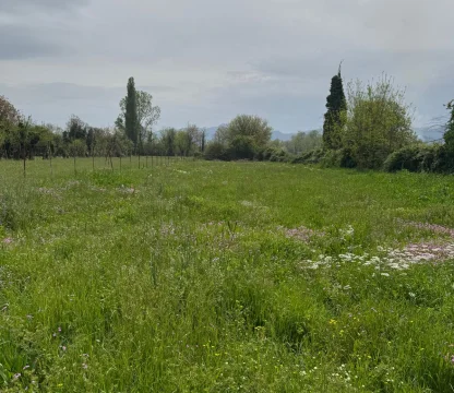 Земельный Участок 3 500 м² с Разрешением на Застройку в Подгорице – Отличная Возможность для Девелопмента и Инвестиций