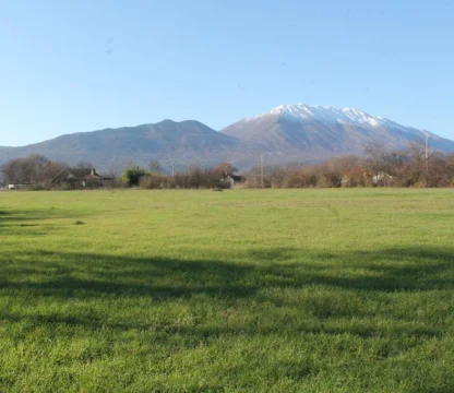 Podgorica Danilovgrad'da 21 Dönüm Arazi – Tarım, Yatırım ve Proje Geliştirme İçin Büyük Fırsat